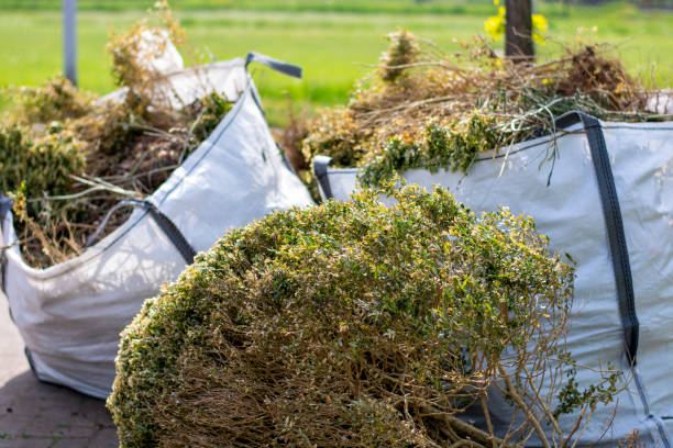 Best Estate Cleanout Services  in Lake City, AR